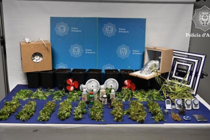 Desmantellada una plantació de marihuana a Escaldes