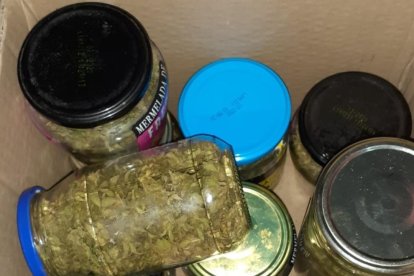 Es van trobar pots amb cabdells de marihuana, una bàscula de precisió i 63 plantes de marihuana a casa l'arrestat