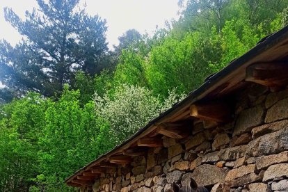 ''Cavalls dins d'una cabanya', segon premi del concurs de fotografia 'Descobreix la Vall del Madriu-Perafita-Claror'
