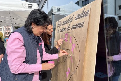 la massana, parròquies, càncer de mama, jornada informativa, assandca