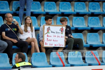 Seguidors suissos