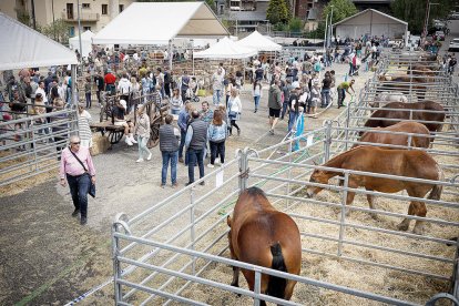 L'aparcament camp de la Tanada va acollir ahir la Fira del Bestiar.