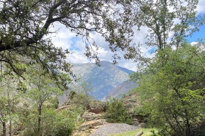 Vandalisme als senyals del camí vell d'Auvinyà