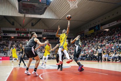 Harding penetra a cistella.