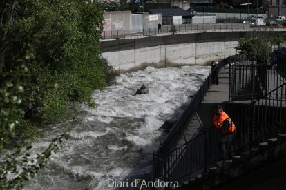 Recerca del treballador caigut al riu