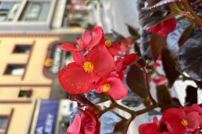 Andorra la Vella