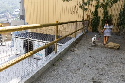 El pipicà.

Foto: Comú d'Andorra la Vella/Tony Lara