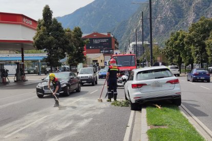 El vehicle que s'ha enfilat a la zona enjardinada de l'avinguda Tarragona aquesta tarda