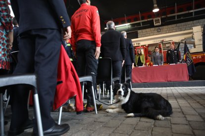 El gos 'Lucas' durant l'acte