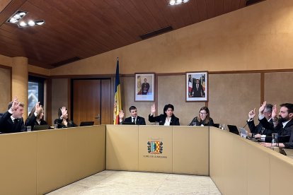 Eva Sansa ha destacat la cessió d'ús social aquest matí durant la sessió de comú de la Massana