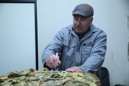 El classificador Antoni Servat treballant a la fàbrica