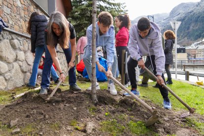 Plantació d'arbres dels alumnes de l'Escola Verda d'Encamp