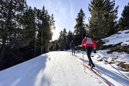 Visitants fent esquí nòrdic.