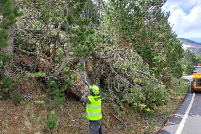 Els operaris del COEX treballant en la neteja de la carretera