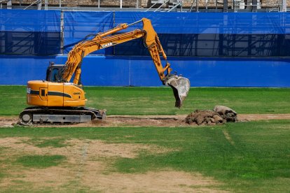 L’excavadora va començar ahir a extreure la gespa natural.