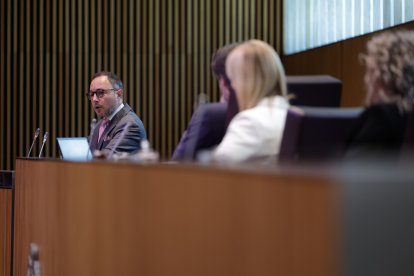 Espot durant el discurs ahir al Consell General.