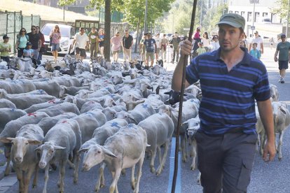 El pastor Rafa Jiménez fent la transhumància popular a la Massana.