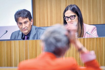 Molné i Garcia al Consell General, ahir.