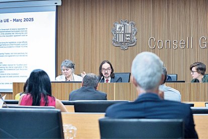 Riba durant la compareixença, continuació de la celebrada al maig.