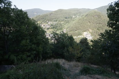 El bosc on s'ha iniciat l'incendi amb la mànega que està refredant la zona.