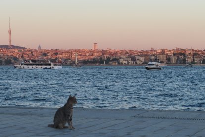Istanbul