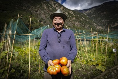 Final de temporada dels horts de la gent gran a Andorra la Vella