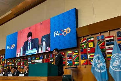 El mininistre de Medi Ambient, Guillem Casal, a la seu de la FAO.