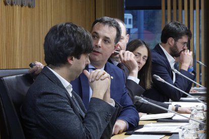 Betriu, en una compareixença al Consell General.