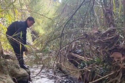 La recerca s’ha centrat en zones de difícil accés, amb torrents.
