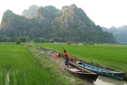 Les canoes de fusta són l’única manera de travessar els estrets canals dels arrossars.