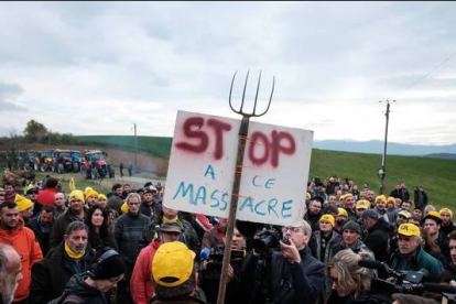 Una protesta dels ramaders francesos.