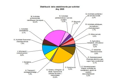 Distribució dels establiments inscrits al Registre de comerç.