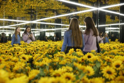 L’exposició ‘Van Gogh Alive’.