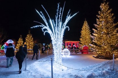 Visitants de la segona edició de Canillo Brilla.