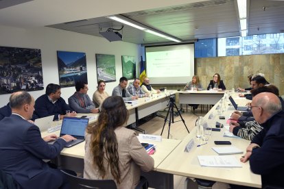 Reunió, ahir, del Consell Econòmic i Social.