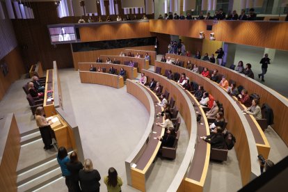 La sessió commemorativa del Dia de la Dona al Consell General.