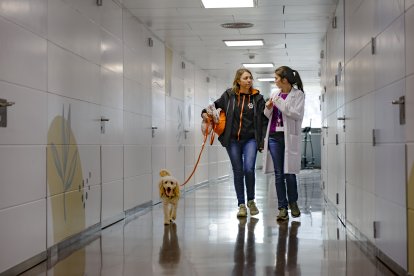 El gos de teràpia ‘Tekila’ amb Cristina Pitarch, a l’hospital.