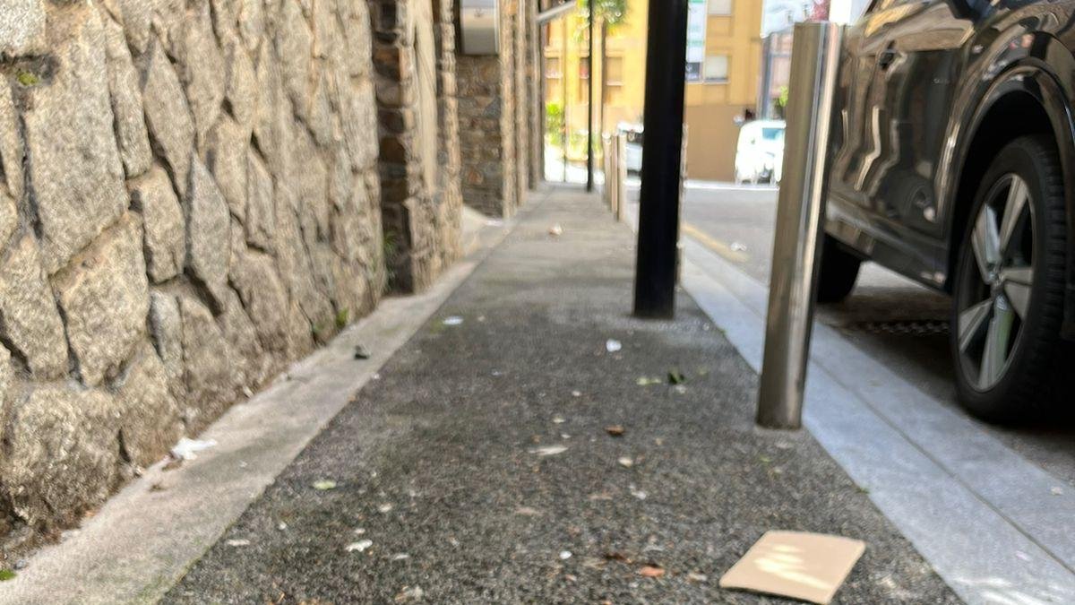 Brutícia al carrer Esteve Dolsa de la capital