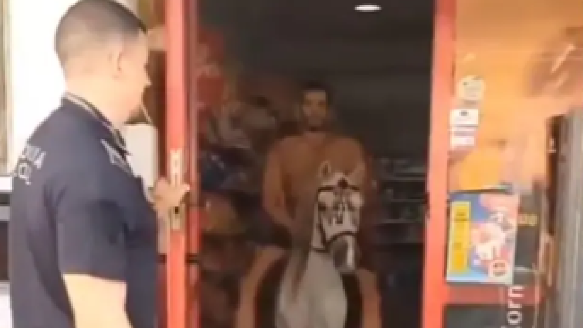 Un genet sortint d'un supermercat