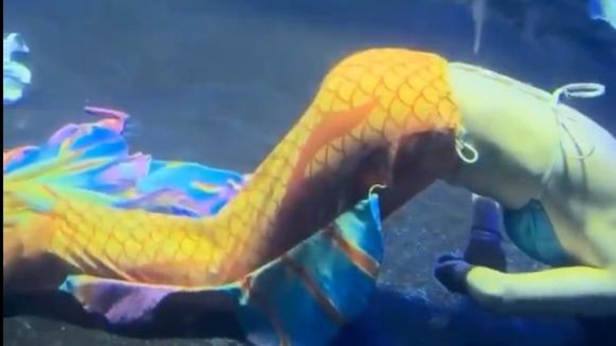 Sirena rescatada