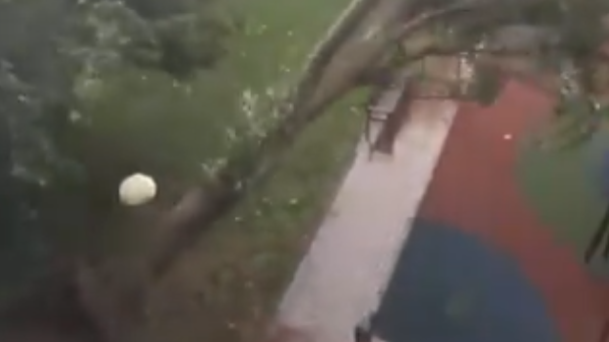 El vent fa caure un arbre a Logroño.
