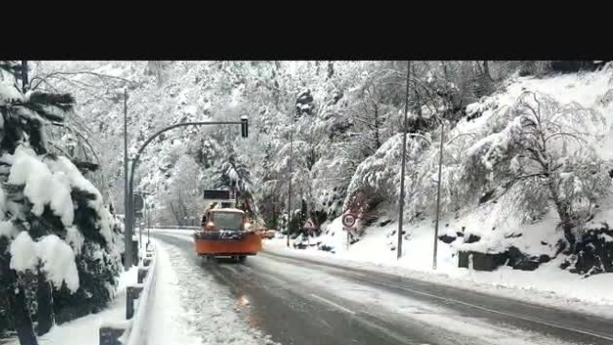 El COEX a la Massana