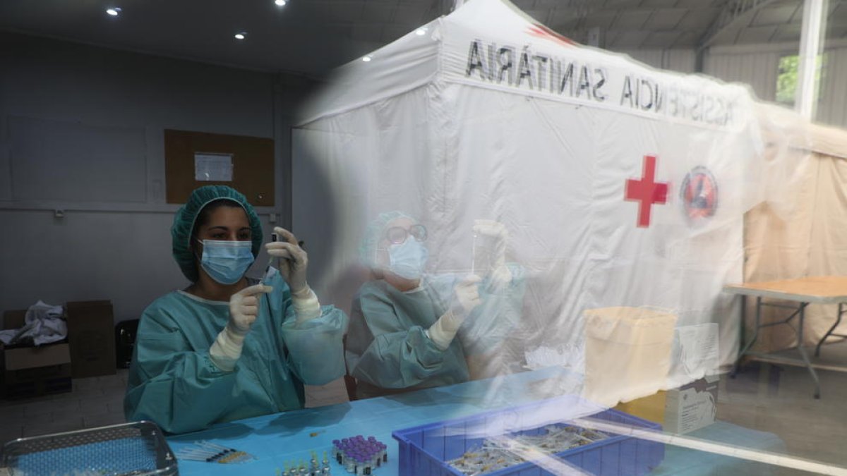 Sanitàries preparant dosis de Pfizer al centre de vacunació de la plaça de braus