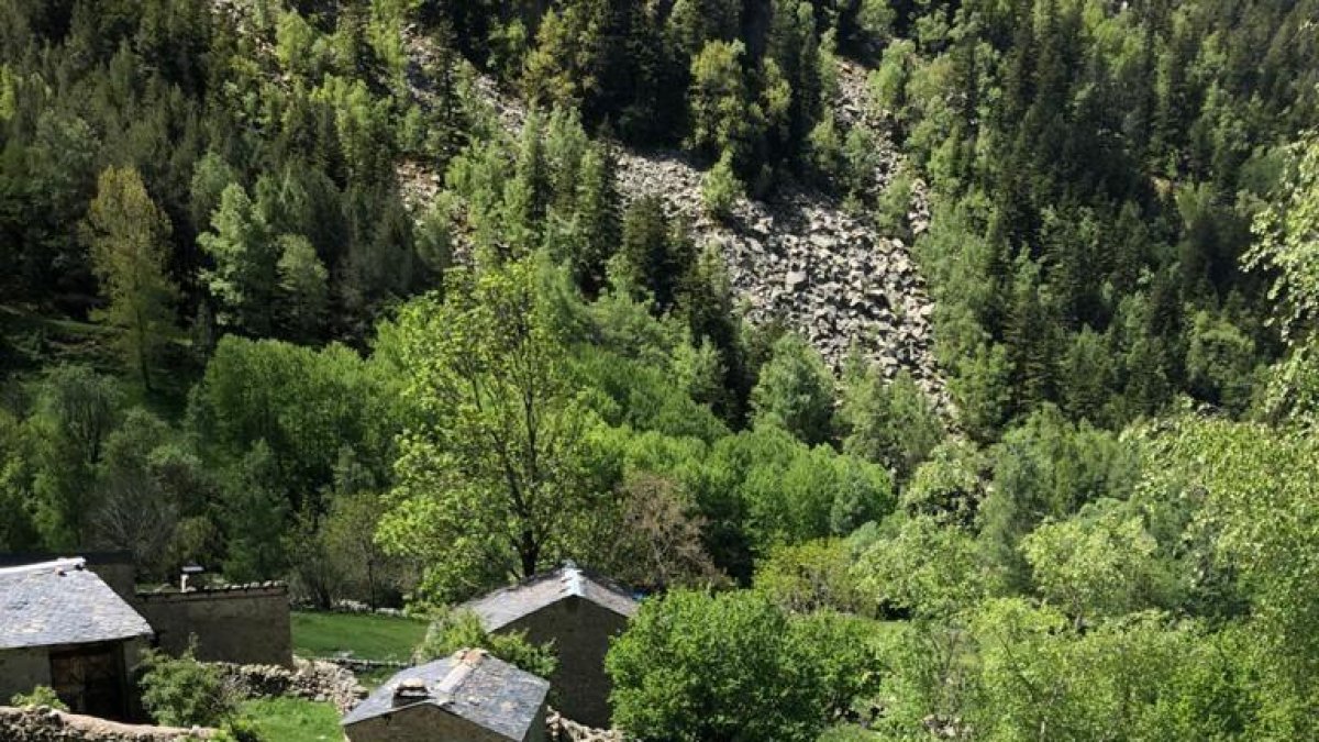 Bordes de Ramio a la vall del Madriu