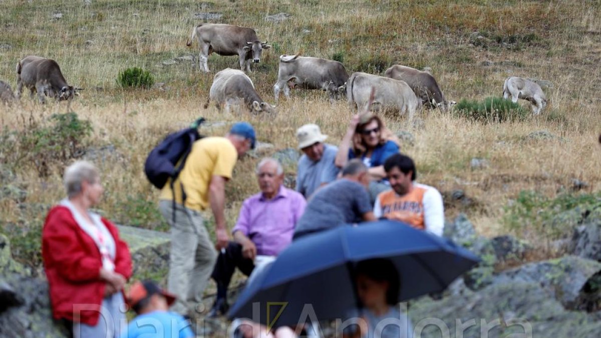 Benedicció del bestiar a Ordino