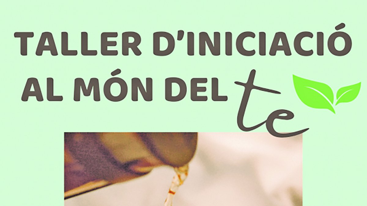 taller te