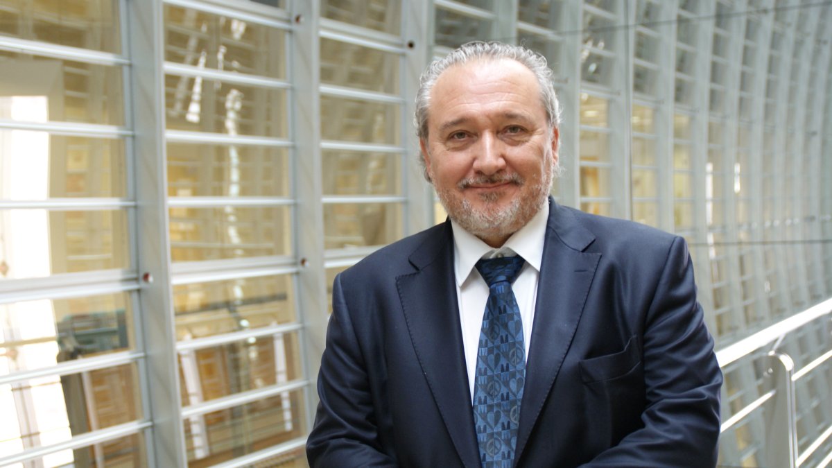 Andrés Raya, consultor i professor