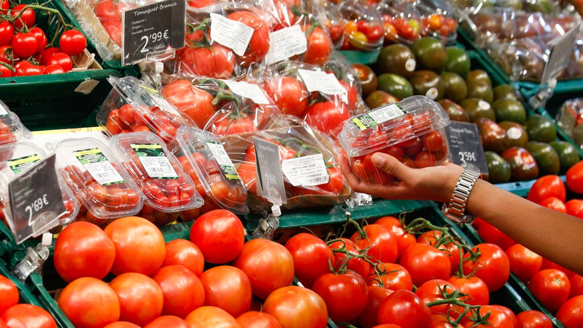 Tomàquets de diverses varietats a la venda.