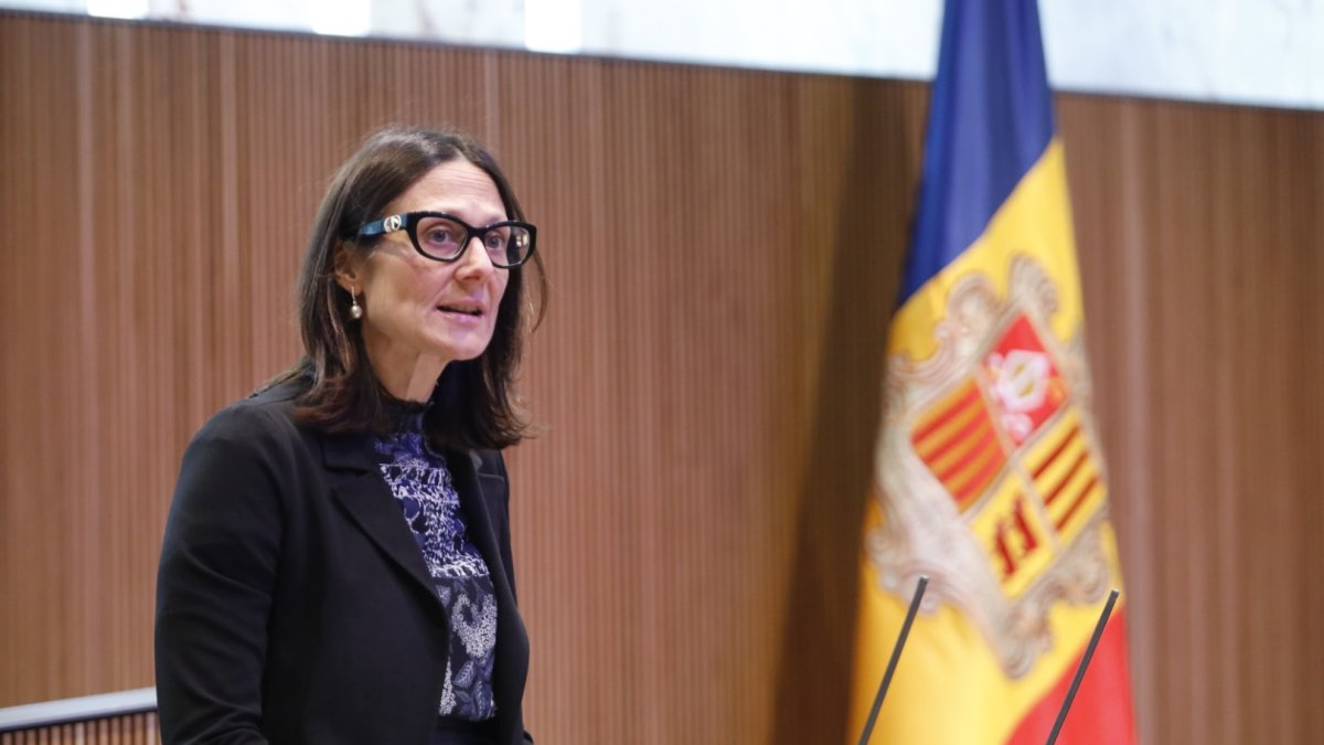 Esther Molné al Consell General, abril 2024