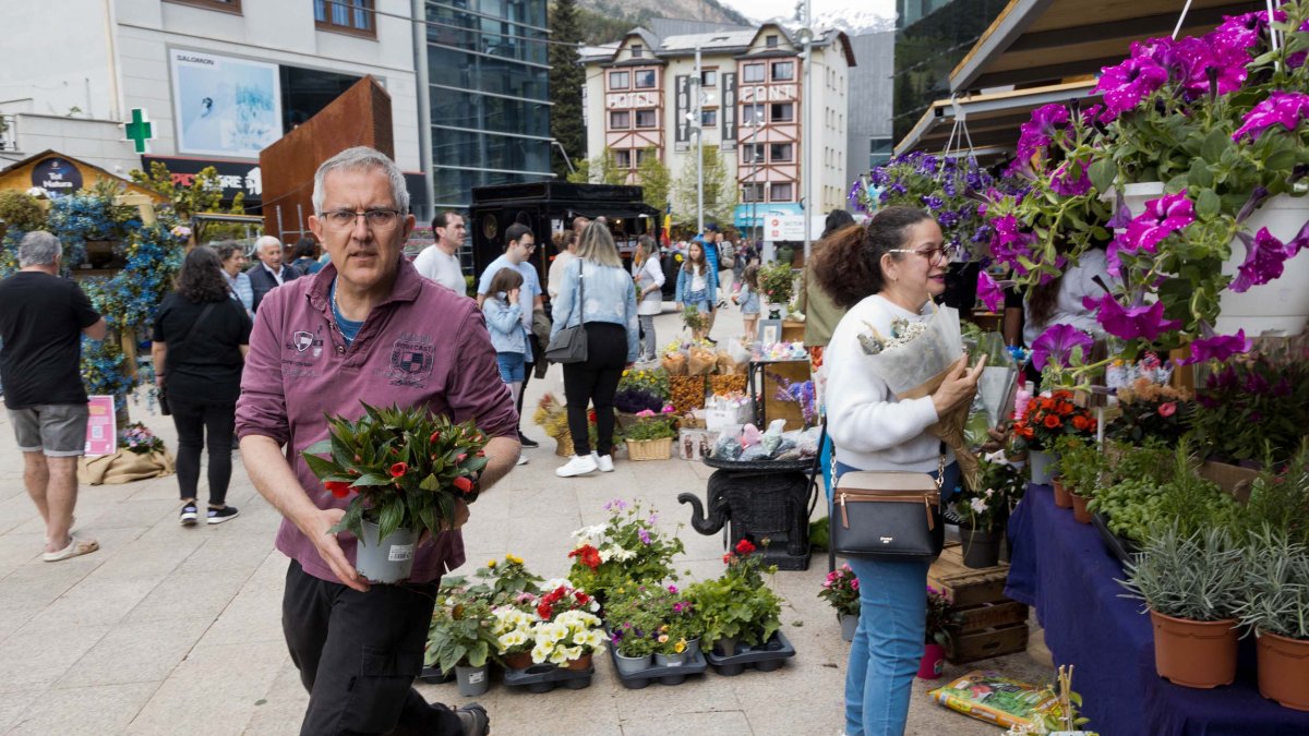 El mercat de la planta i les flors
